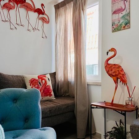 דירות ססימברה Flamingo מראה חיצוני תמונה